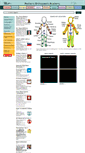 Mobile Screenshot of pedorthoacademy.org
